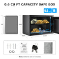 Bonsaii Safe Box, Home Safe with Electronic Digital Keypad, Personal Steel Lock Box with Removable Shelf, SF002